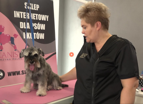 Zrzut ekranu 2024-11-15 171118