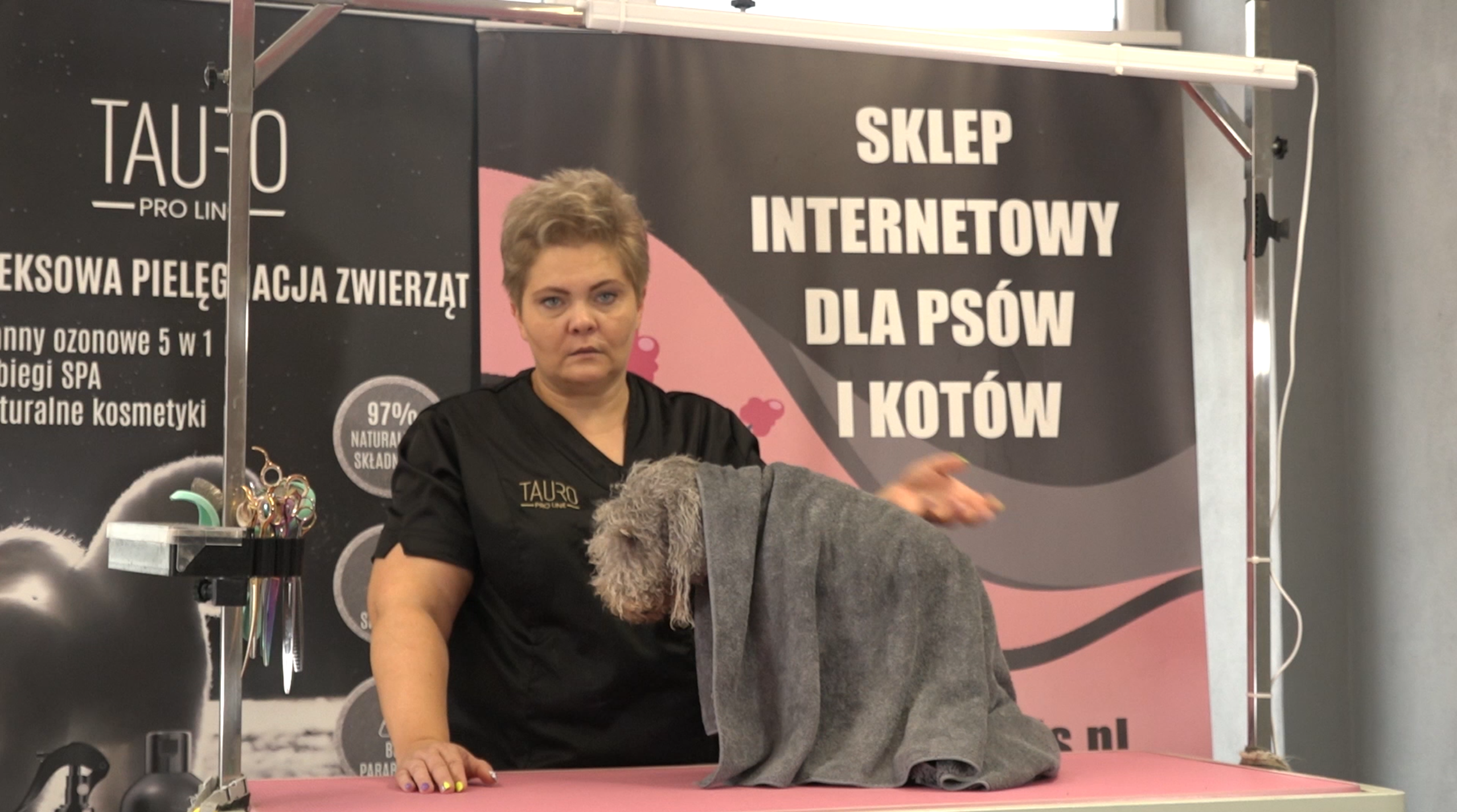 Jak obciąć Bedligton terriera